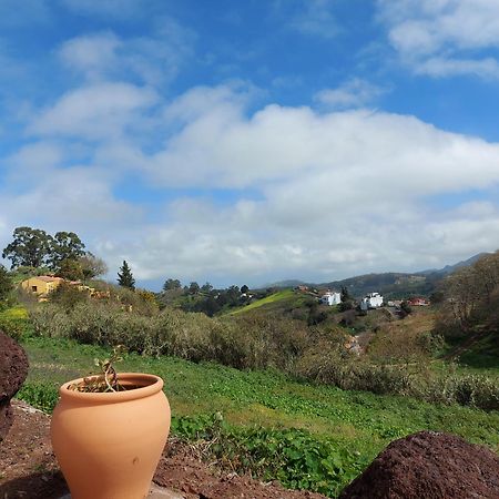 Finca Naturacanaria Moya  エクステリア 写真