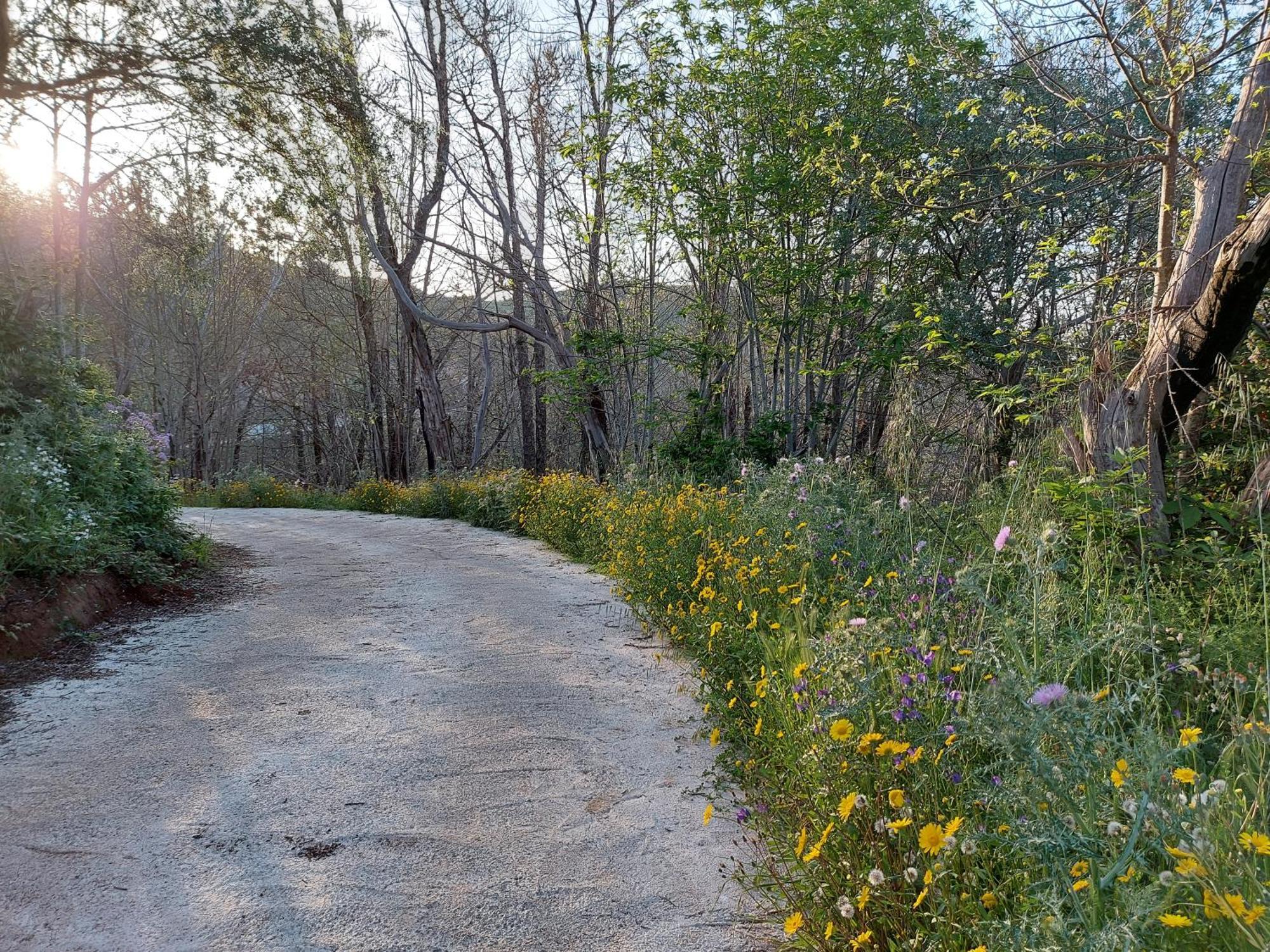 Finca Naturacanaria Moya  エクステリア 写真