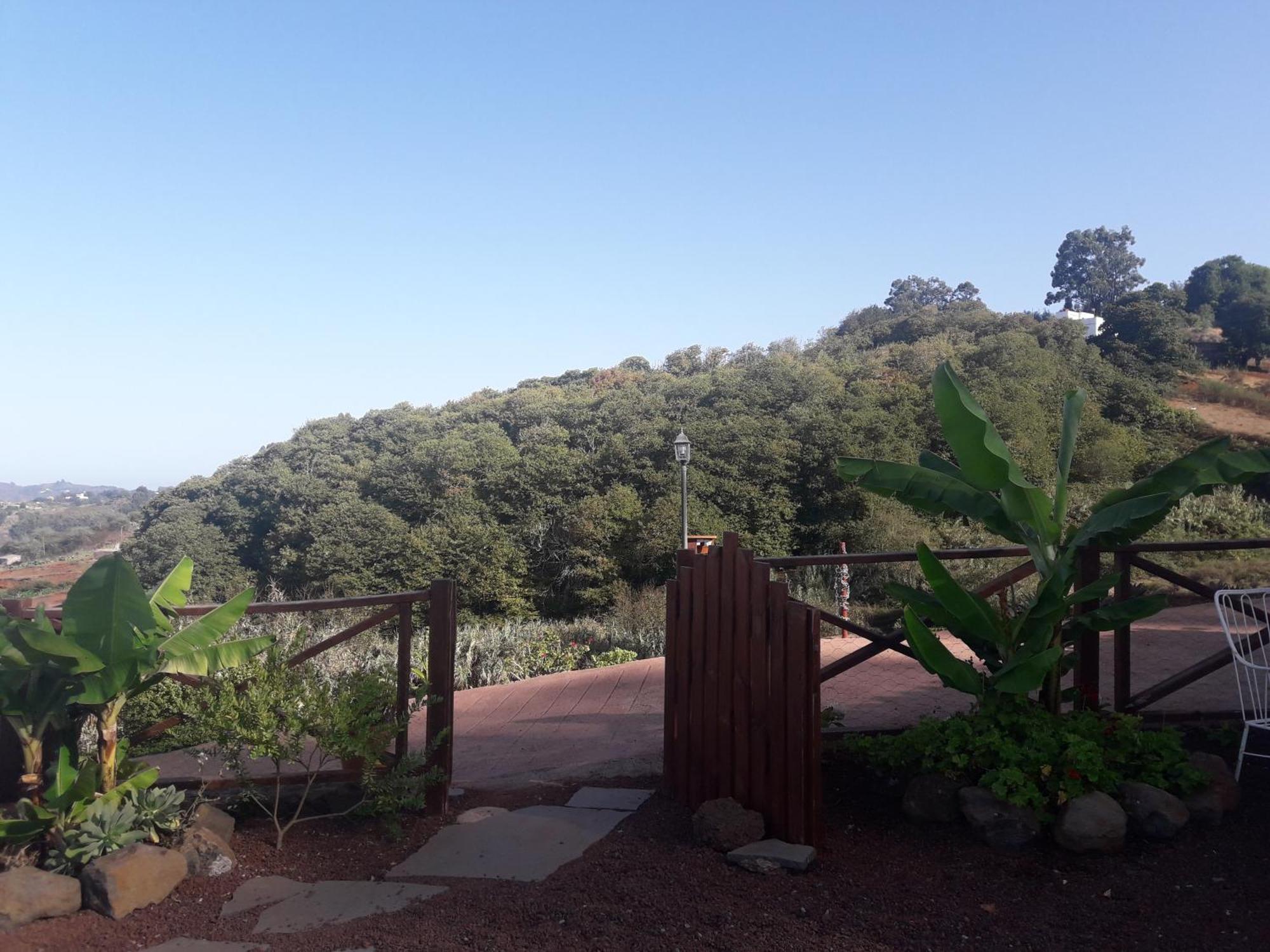 Finca Naturacanaria Moya  エクステリア 写真