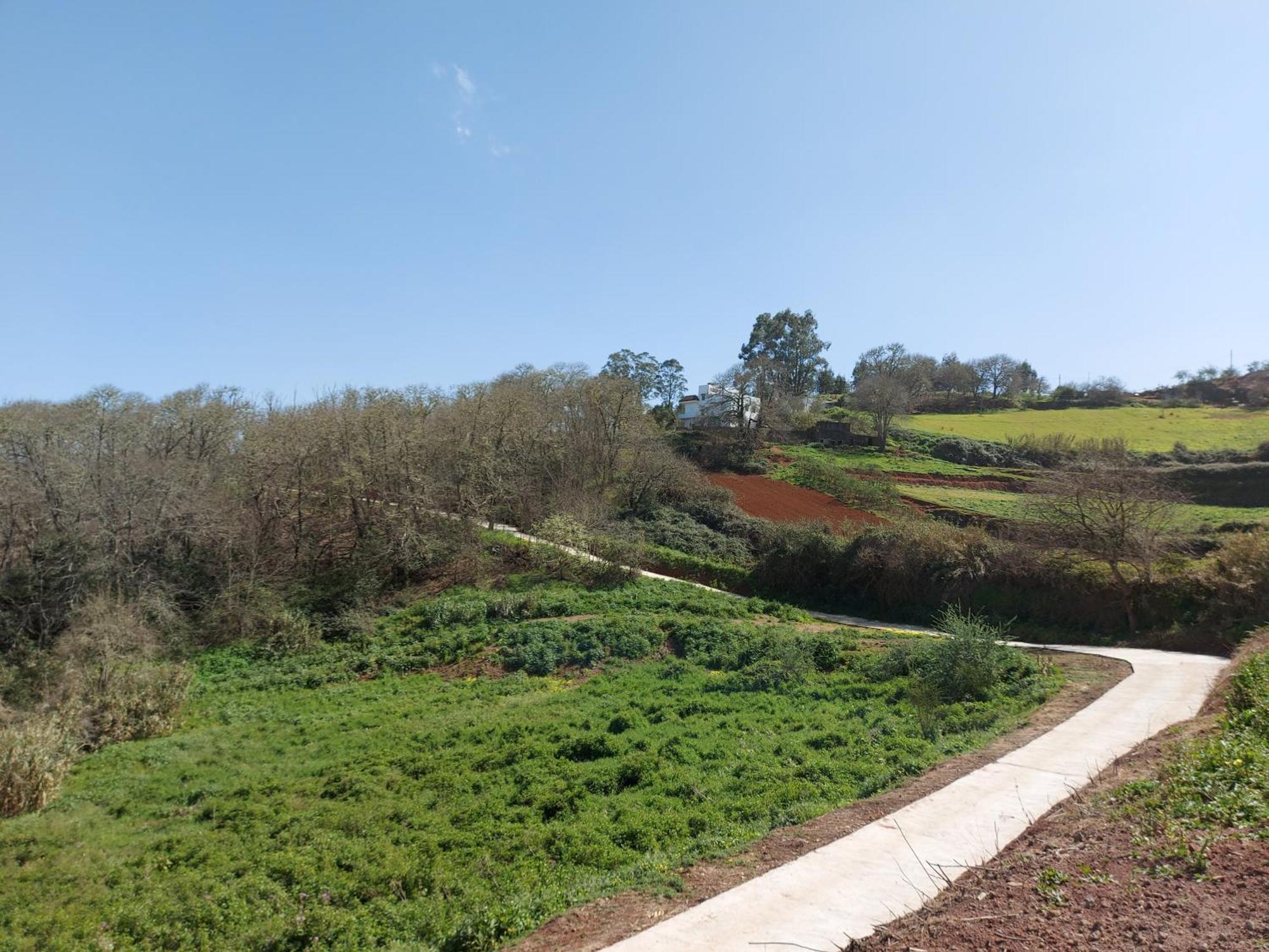 Finca Naturacanaria Moya  エクステリア 写真