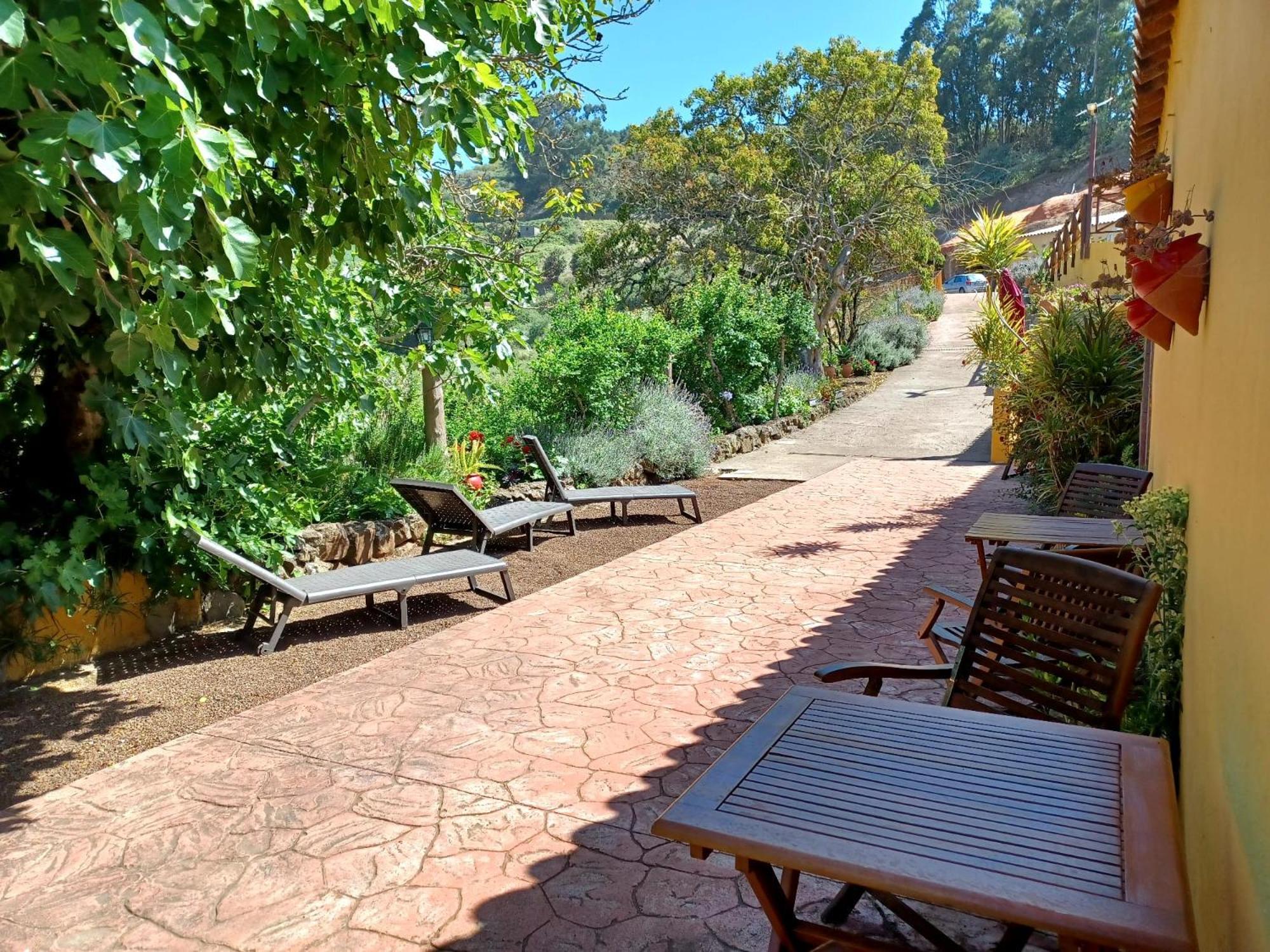 Finca Naturacanaria Moya  エクステリア 写真