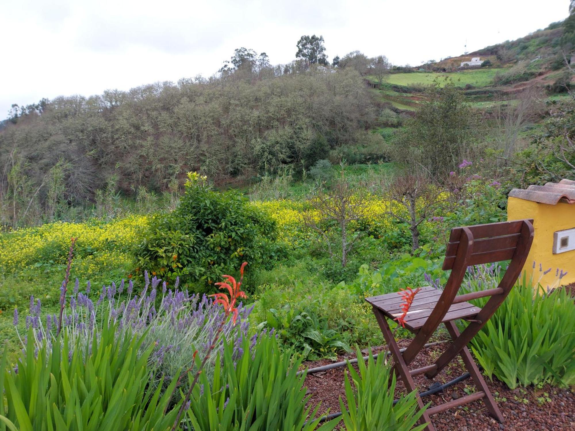 Finca Naturacanaria Moya  エクステリア 写真