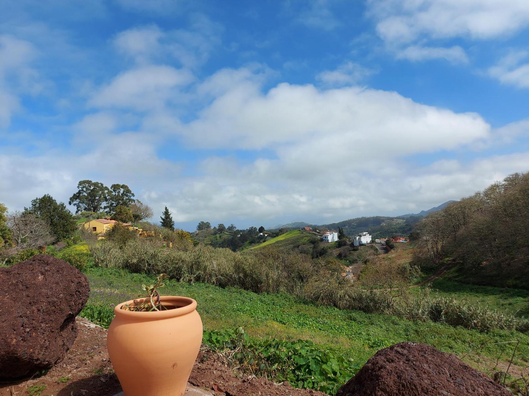 Finca Naturacanaria Moya  エクステリア 写真