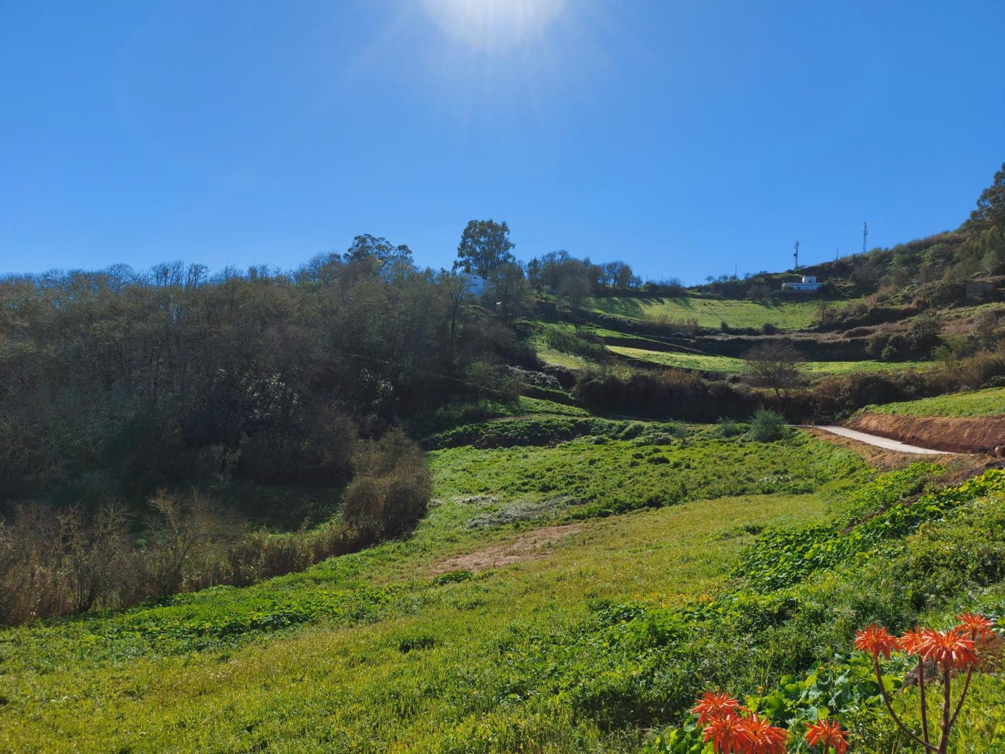 Finca Naturacanaria Moya  エクステリア 写真