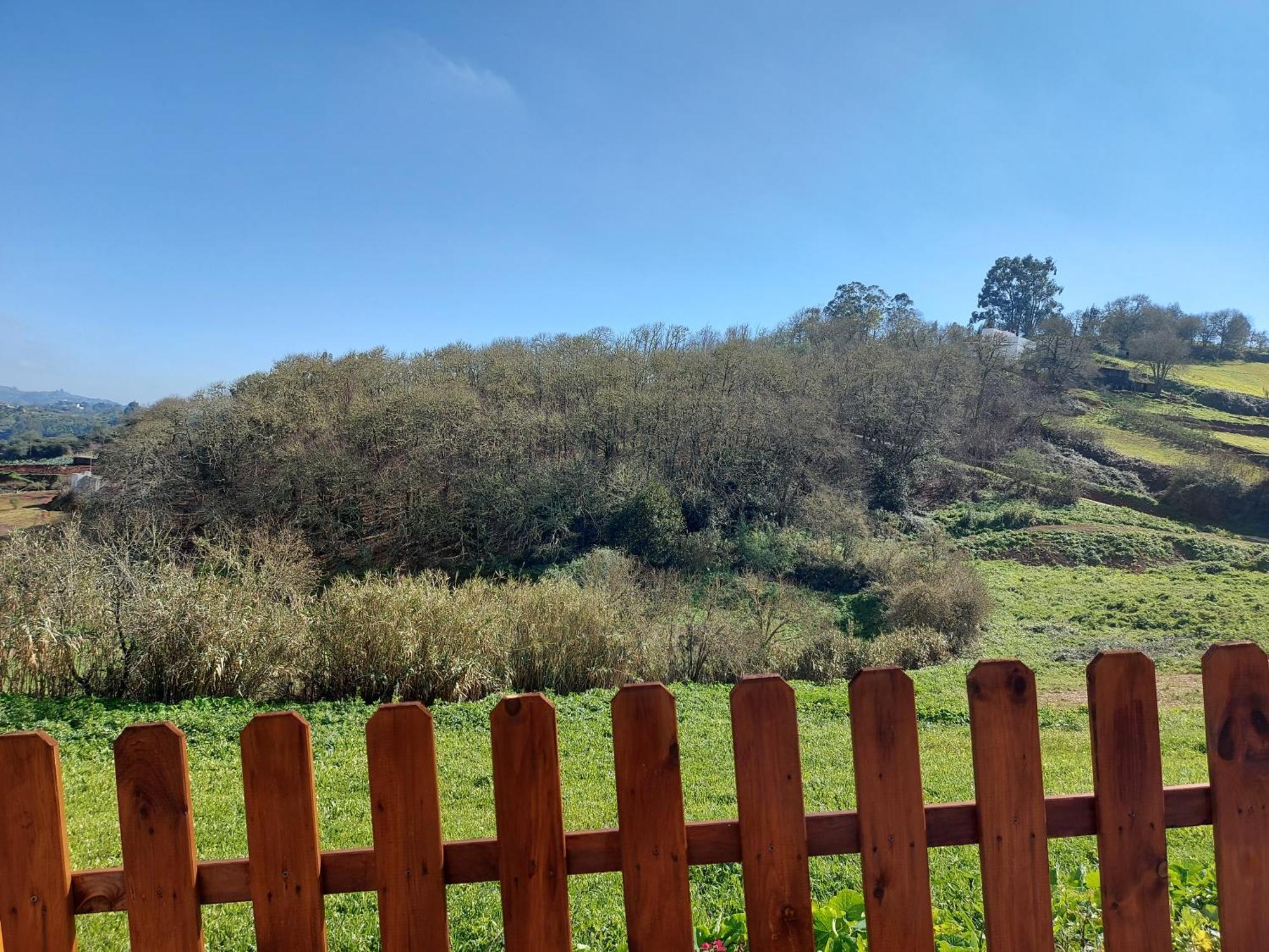 Finca Naturacanaria Moya  エクステリア 写真