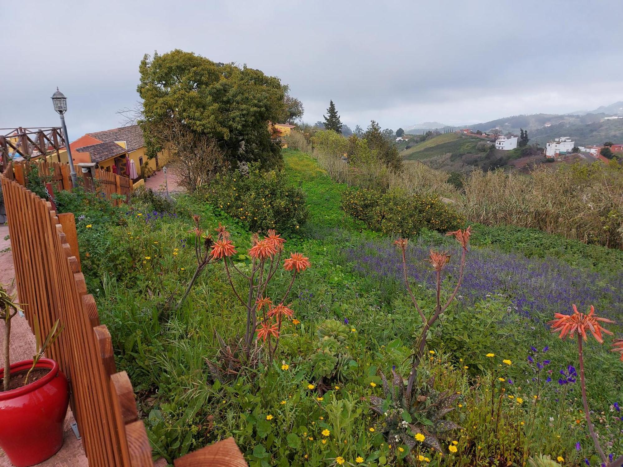Finca Naturacanaria Moya  エクステリア 写真