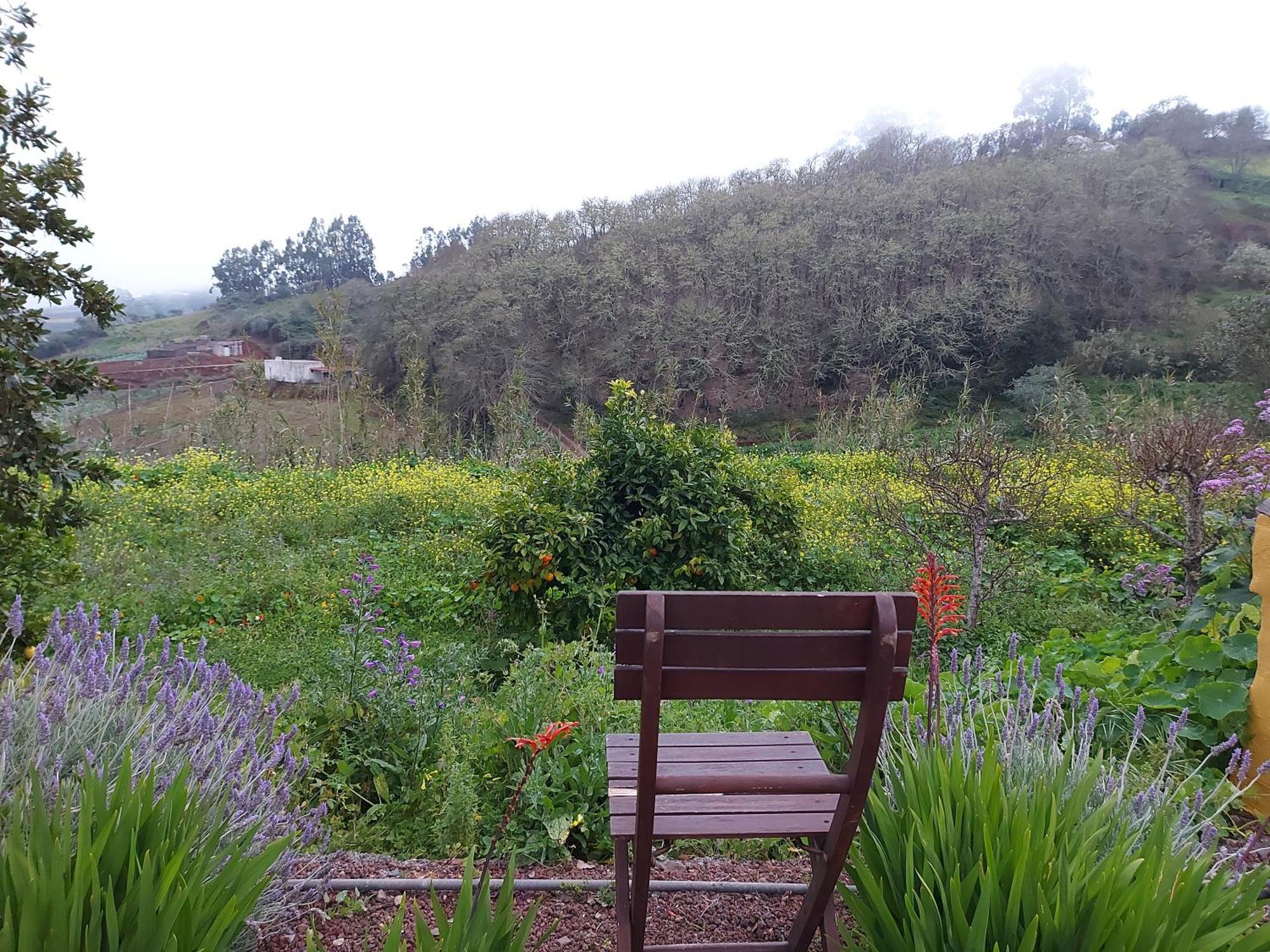 Finca Naturacanaria Moya  エクステリア 写真