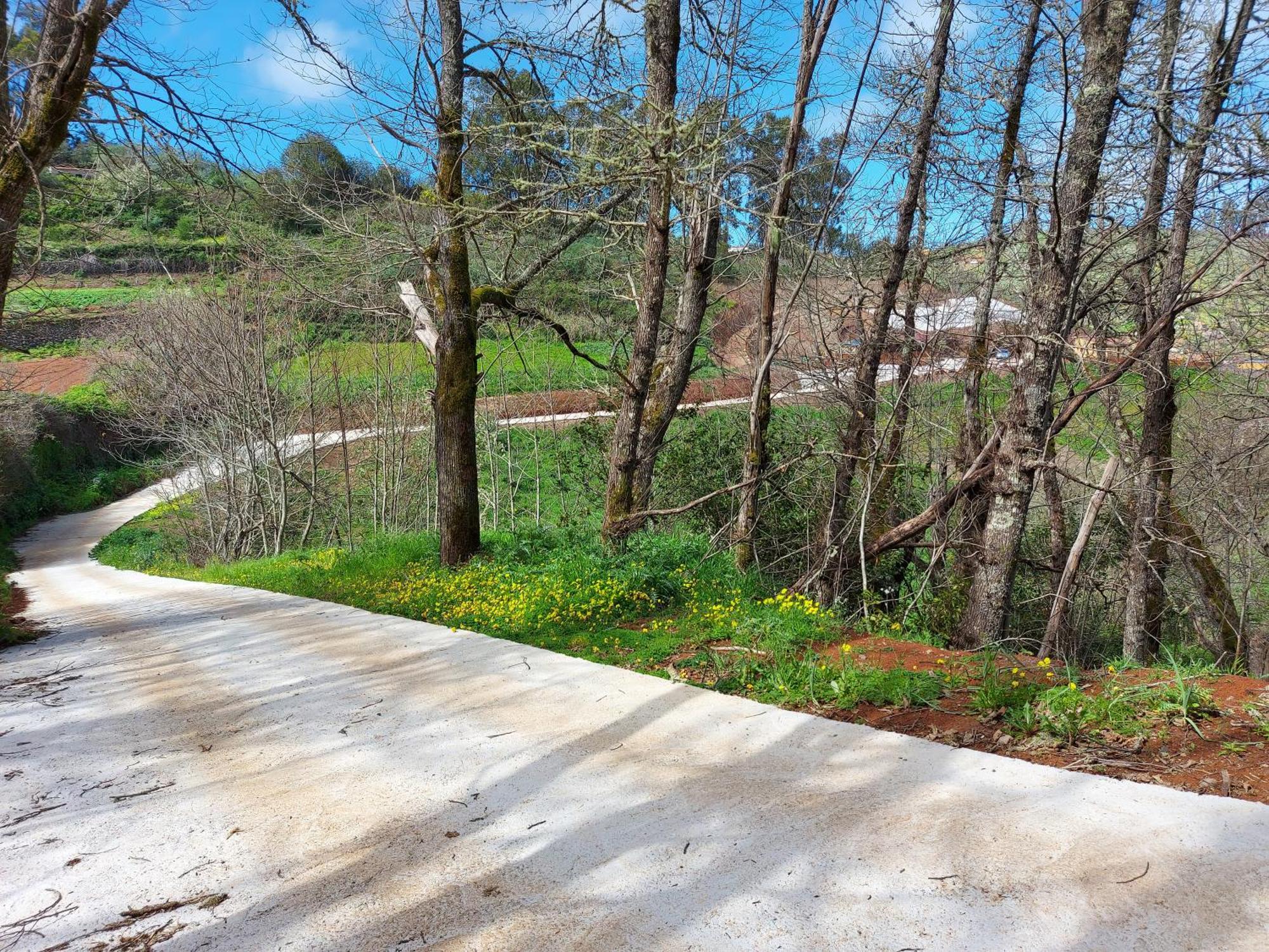 Finca Naturacanaria Moya  エクステリア 写真